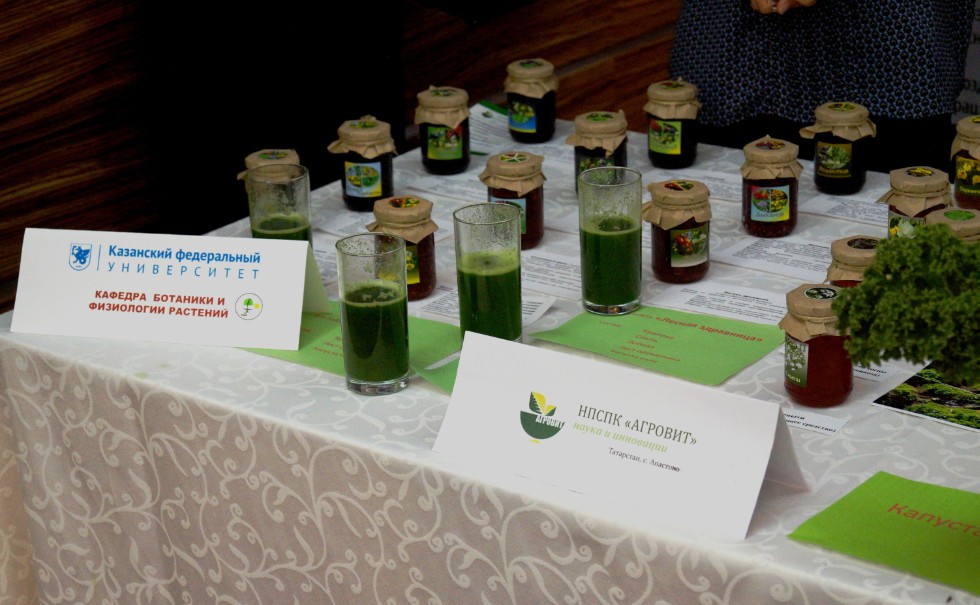 ���������� �����������, ����������