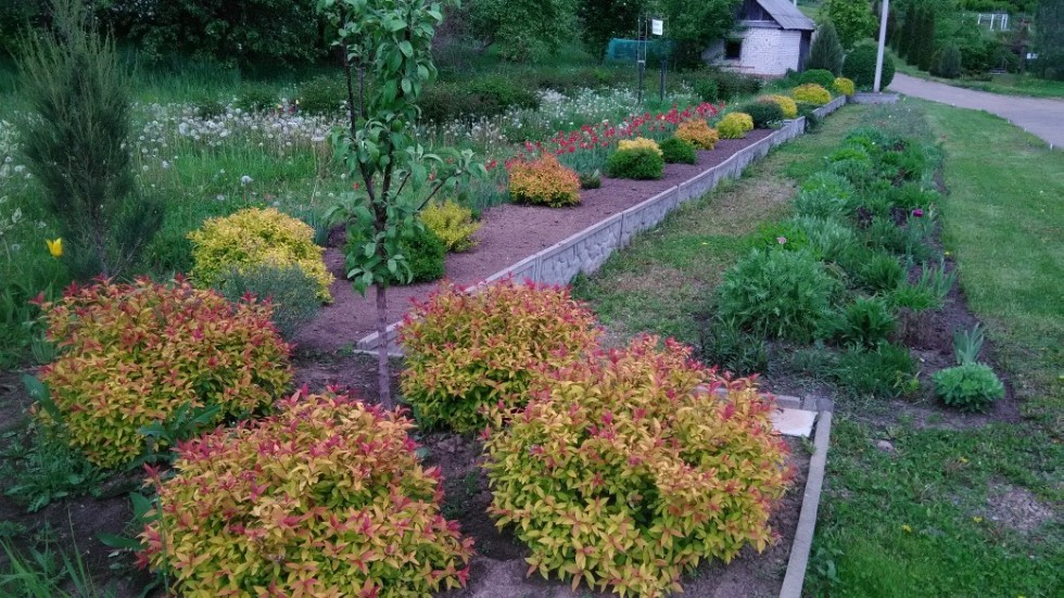 Экскурсии в ботаническом саду Экскурсии в ботаническом саду