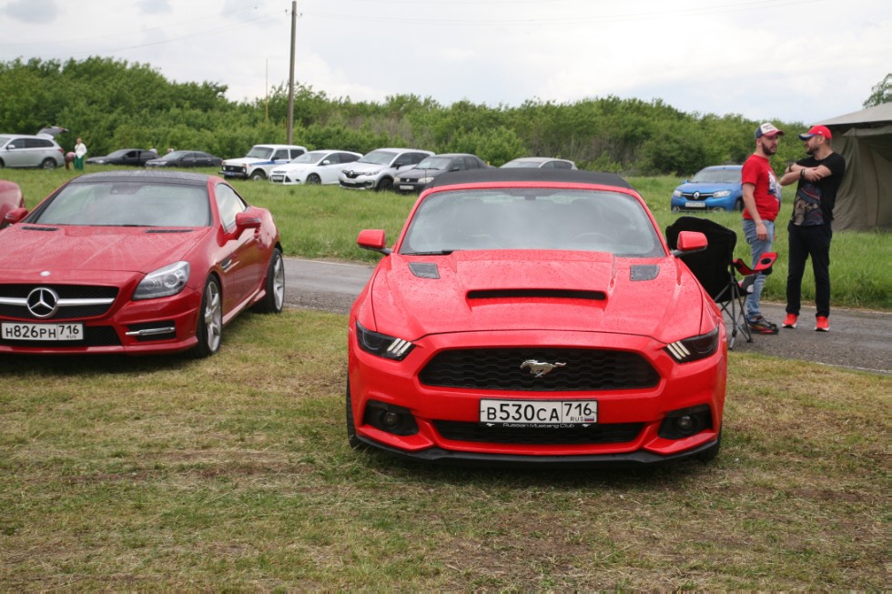 C���� - ���, ��� � �������� �������� 