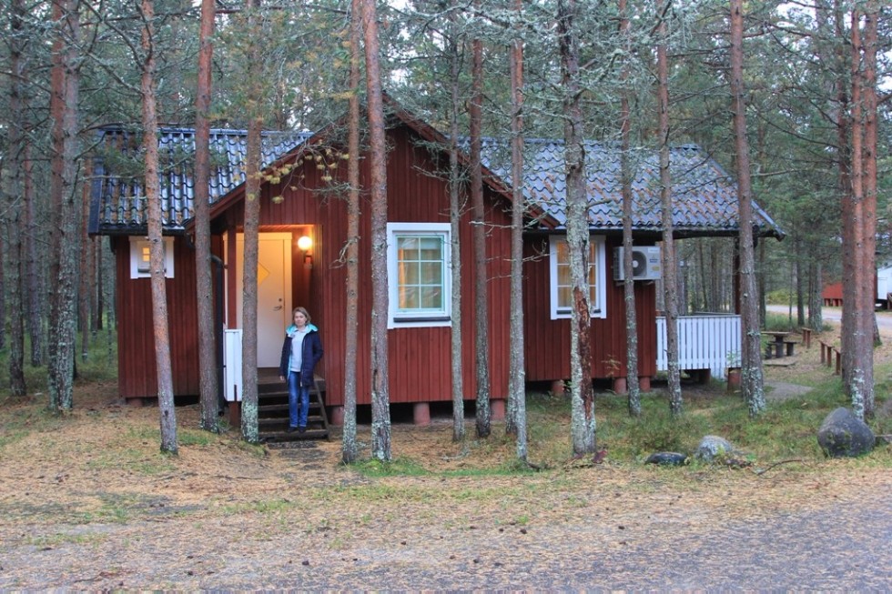 �� ����������� '�����-��������� 2017' � ������� �������� ������ ����������� ��������� ���