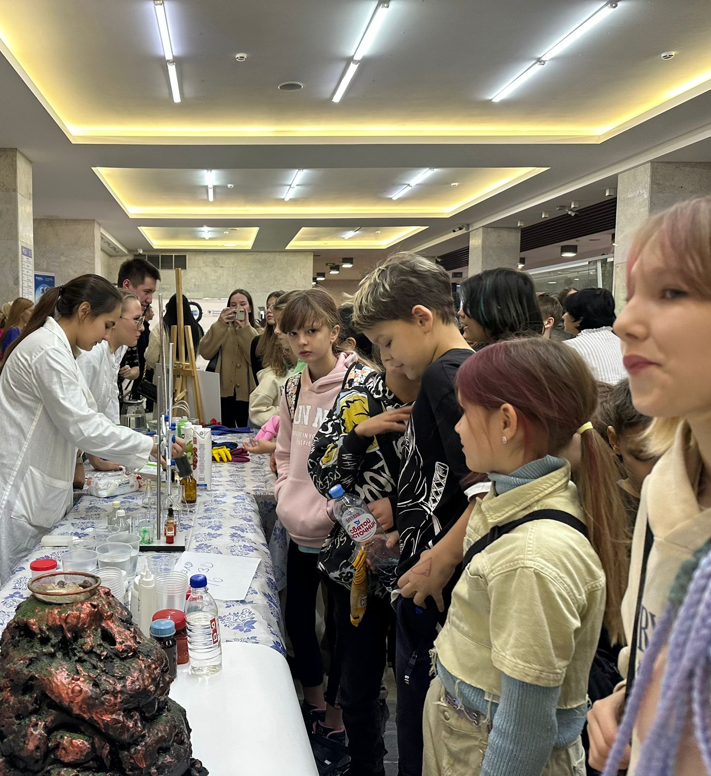 �������� ������� ����������� ����������� � XVII ����� ������-����������� ������� 'PRO����� � ���'