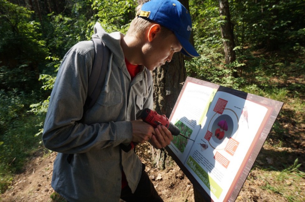 �������� ����������� ��������� ������ ���������������� ����������