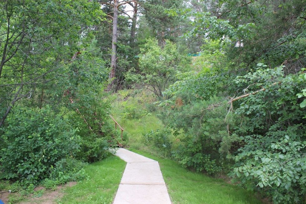 ���������-��������������� ������ '�����������'