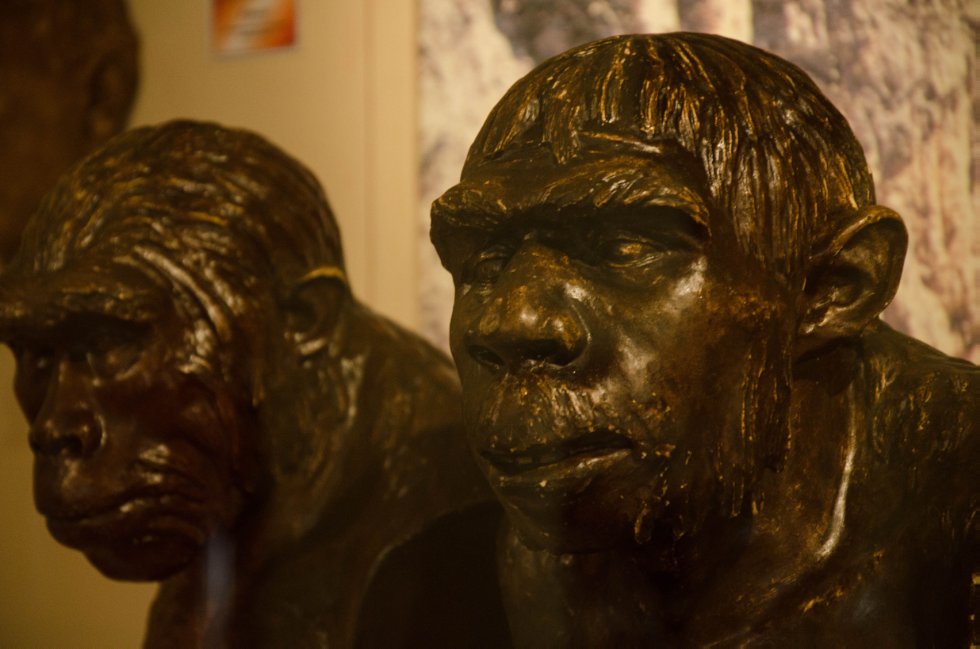 История коллекции История коллекции