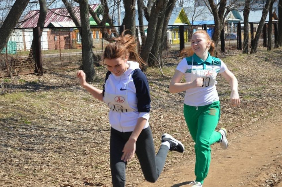 ���������� ������ ������������