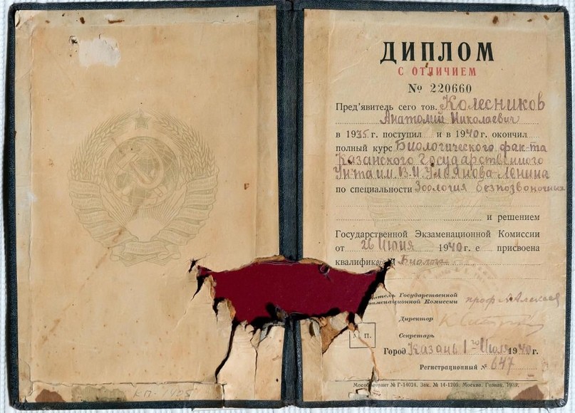 ��������� �����������