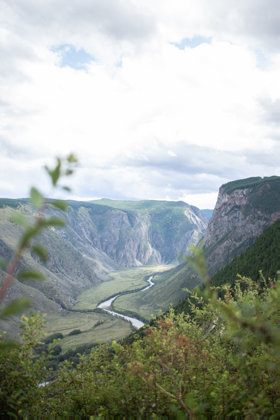 ��������� �����-������ ��������� ��������������� �������� � �������� ���������� ����� �������� ����� ������.