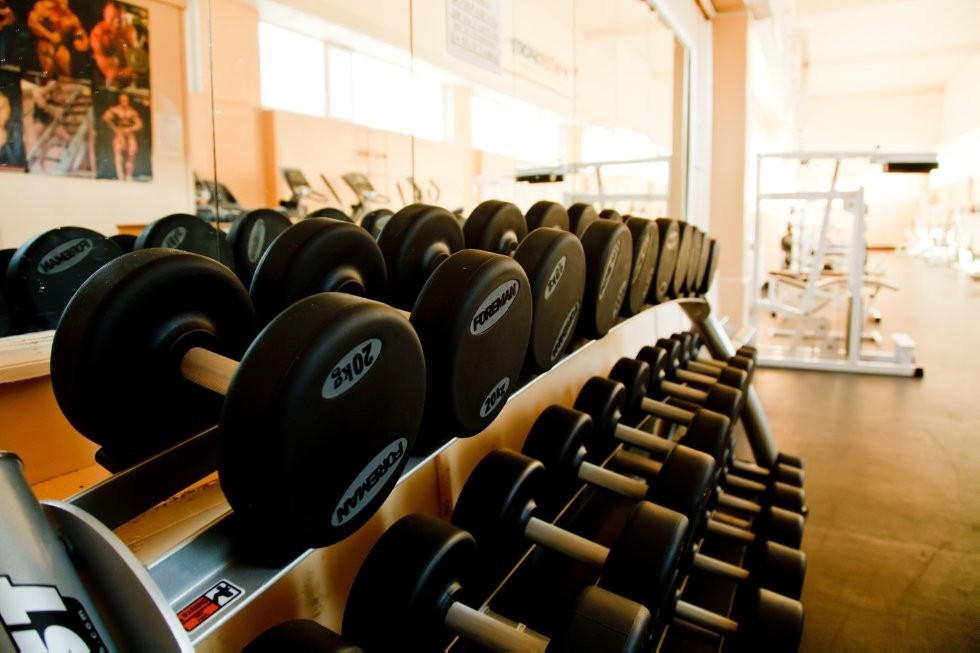 ���� ���������� �����