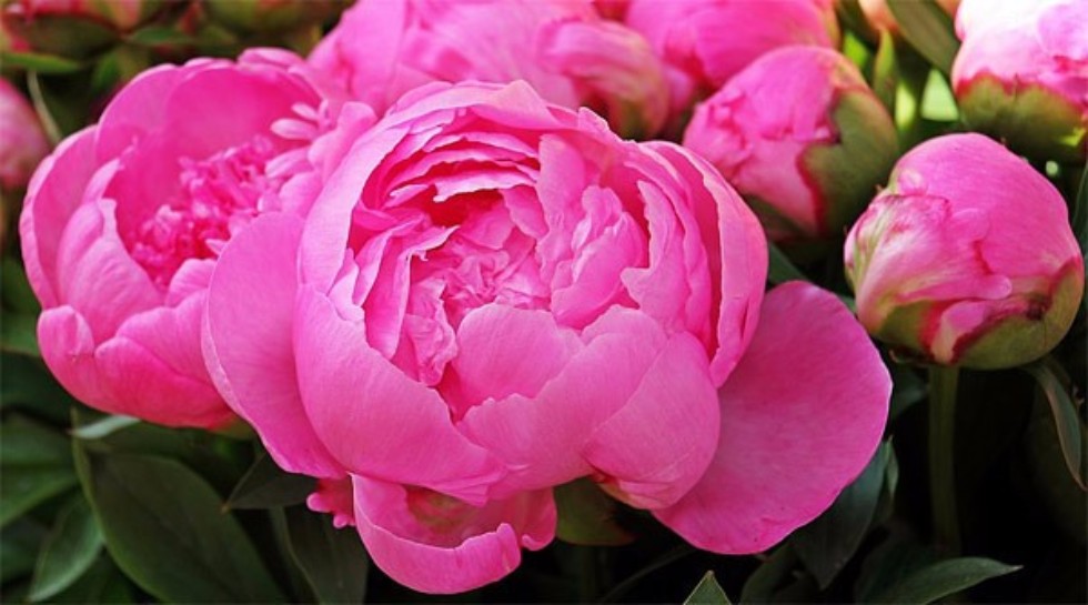 11.11.2017 �. ��������� ������� ����������� �������� ������� ������������ � ���� ��������!!!