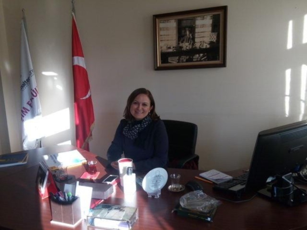 ������ ���� ������� �������� � ������ ���������������� ������� Istanbul Marmara Education Foundation (IMEV)