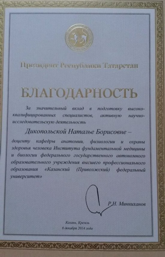 ������� ��������������