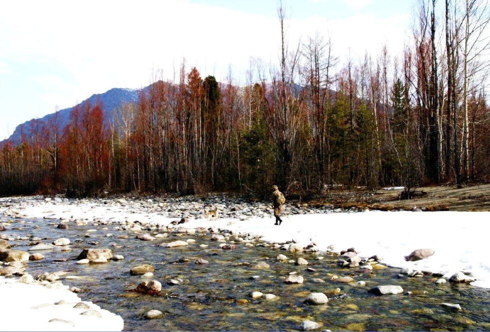 ������ � ���� ����������� ���� �������� ���������