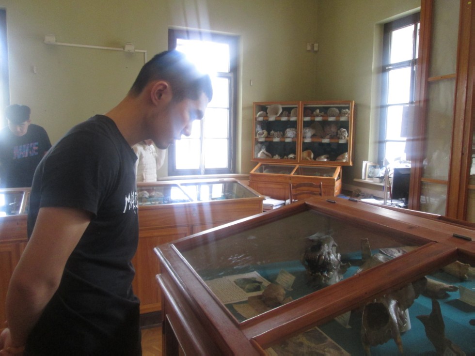 ����������� �������� �������� ����� ���