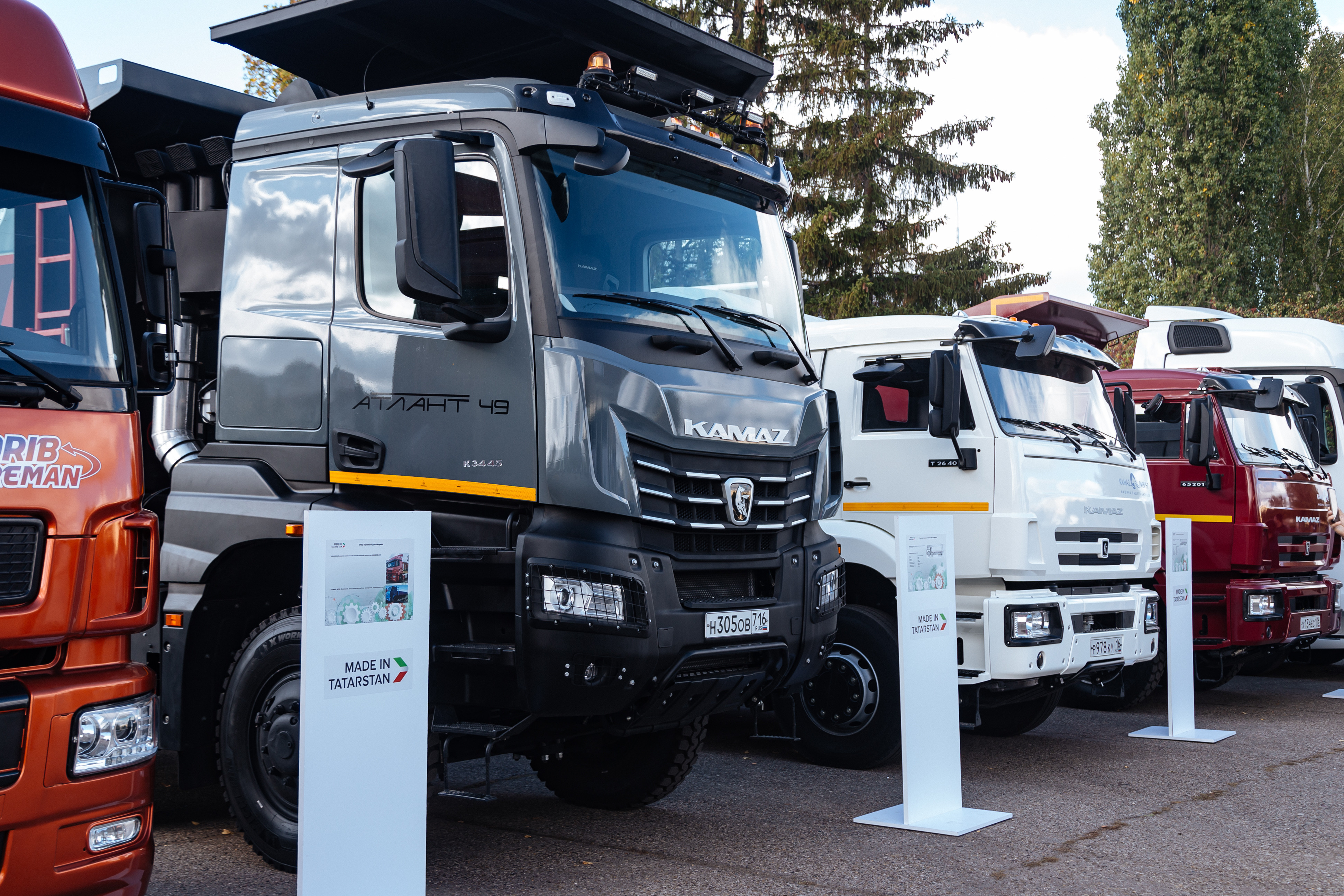 ���� ���������������