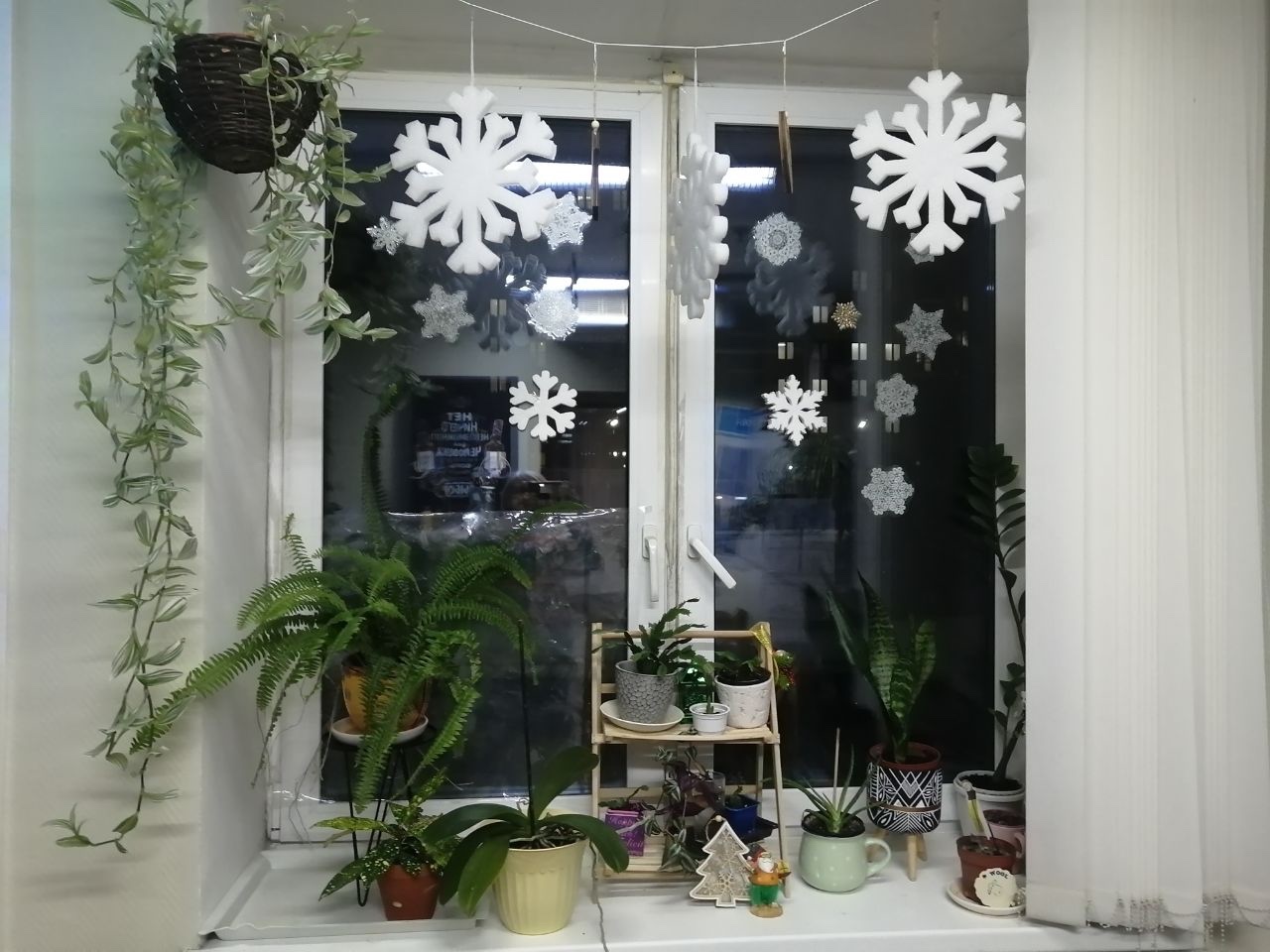 Праздничное преображение общежитий КФУ Праздничное преображение общежитий КФУ