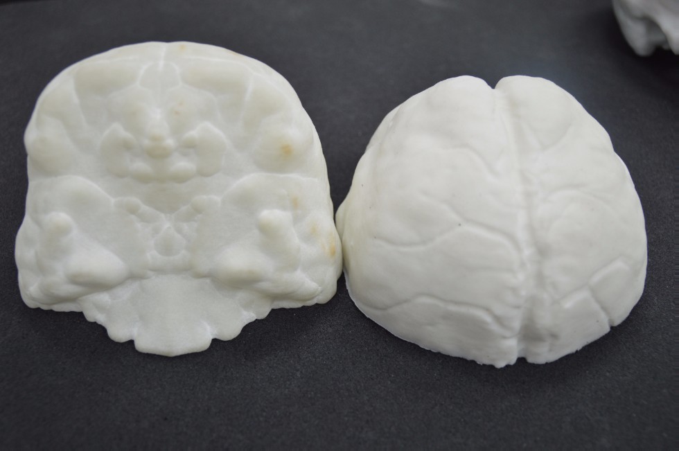 ������������