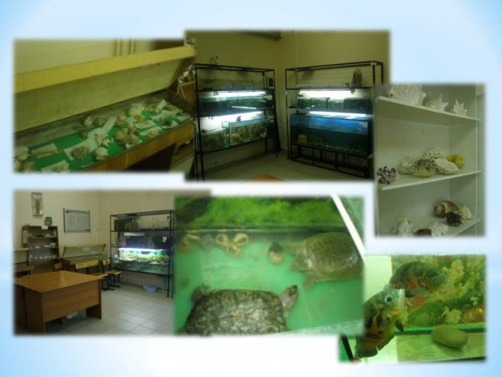 ������������������� � ���������������