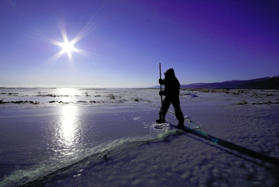 ������ � ���� ����������� ���� �������� ���������