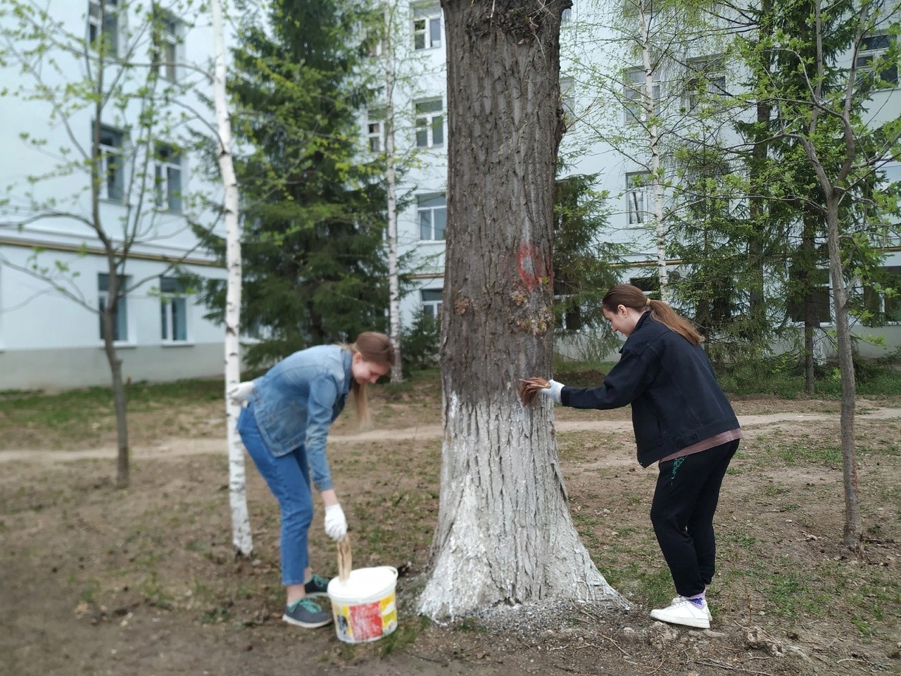 22 апреля прошел масштабный субботник в общежитиях Студенческого городка 22 апреля прошел масштабный субботник в общежитиях Студенческого городка