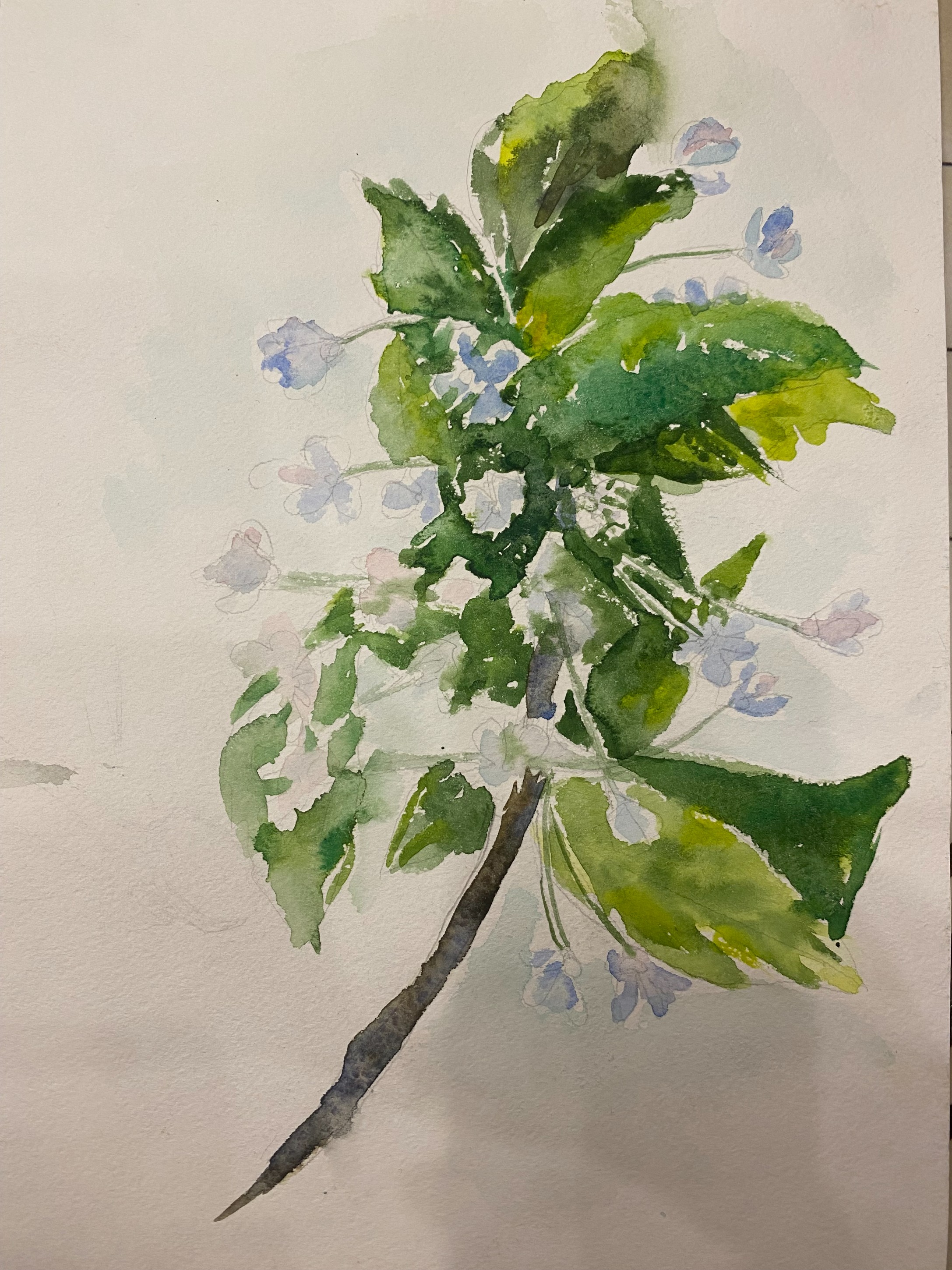 ����� 1-�� ����������� ���� V-�� ���������������� �������� �������� ������� � ����� ������������ �������� '�������'