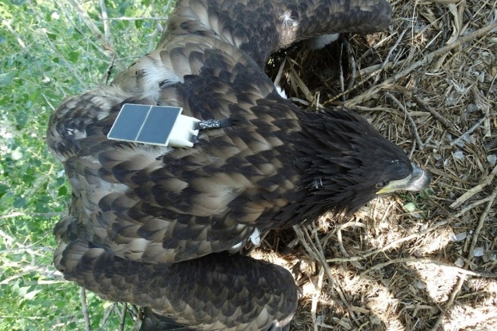 '������� ����������': ��� ������ ������� ����������