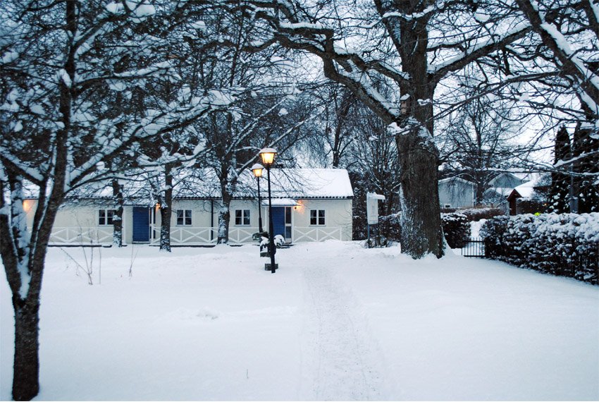 ������������� ����� �� ����������� ��������� �������� (�������, ������)