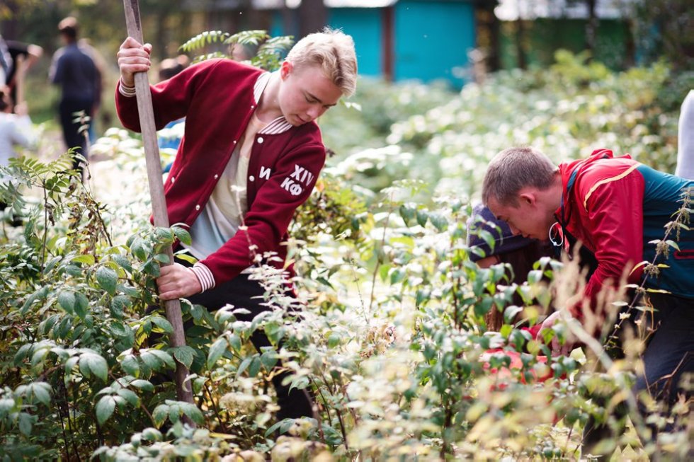 School of an asset of first-year students