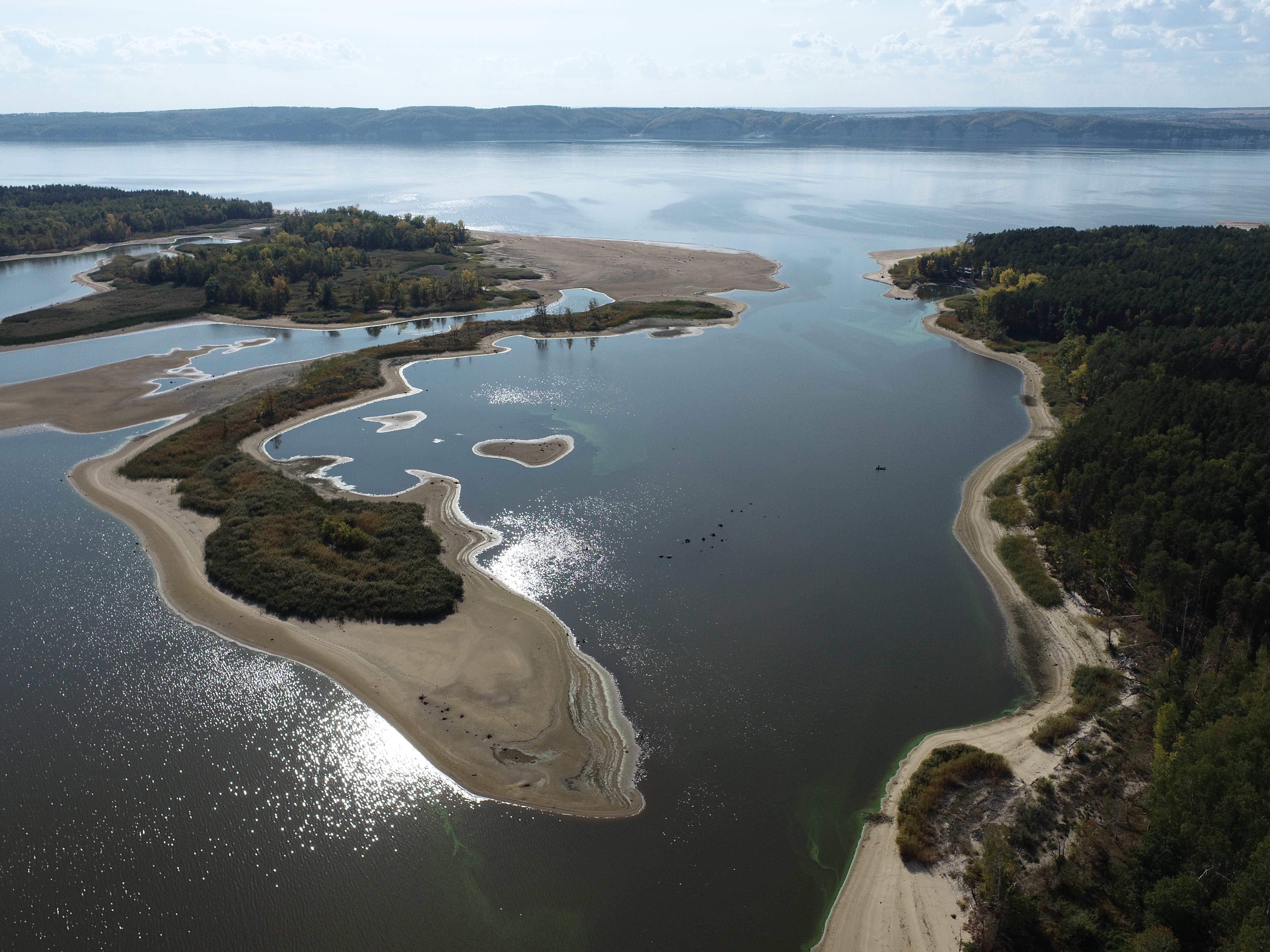 ������������ ��������� ������������ � ������ ����������