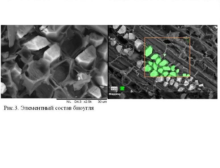 ���������� ������������ �������������� �������