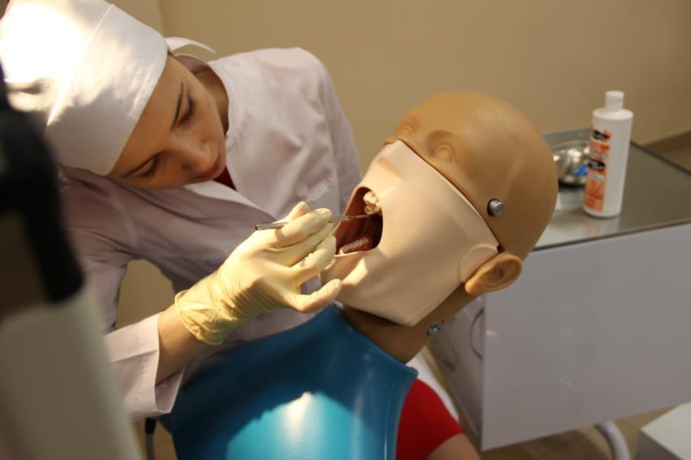 ������ ������������� ������������ ��������� �� ������������, ����������� 80-����� ������������ ������� ����� ���������� ���������, ������������ ����������� ������, ���������� ���������� ���������� ����������������� ������������� ������� �����������