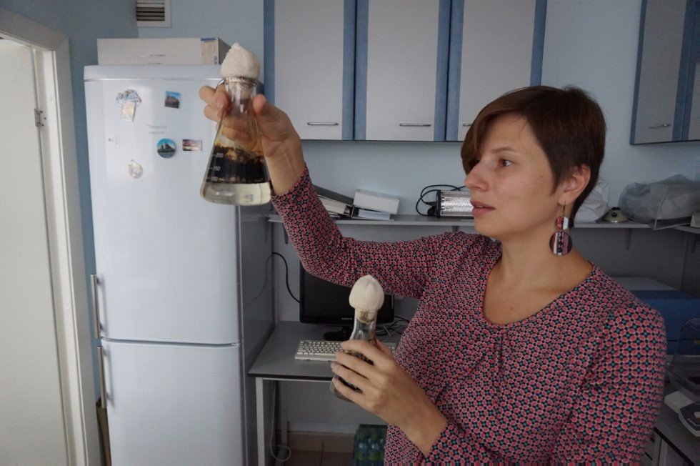 Eco-Friendly Replacement for Surfactants Researched at Kazan University