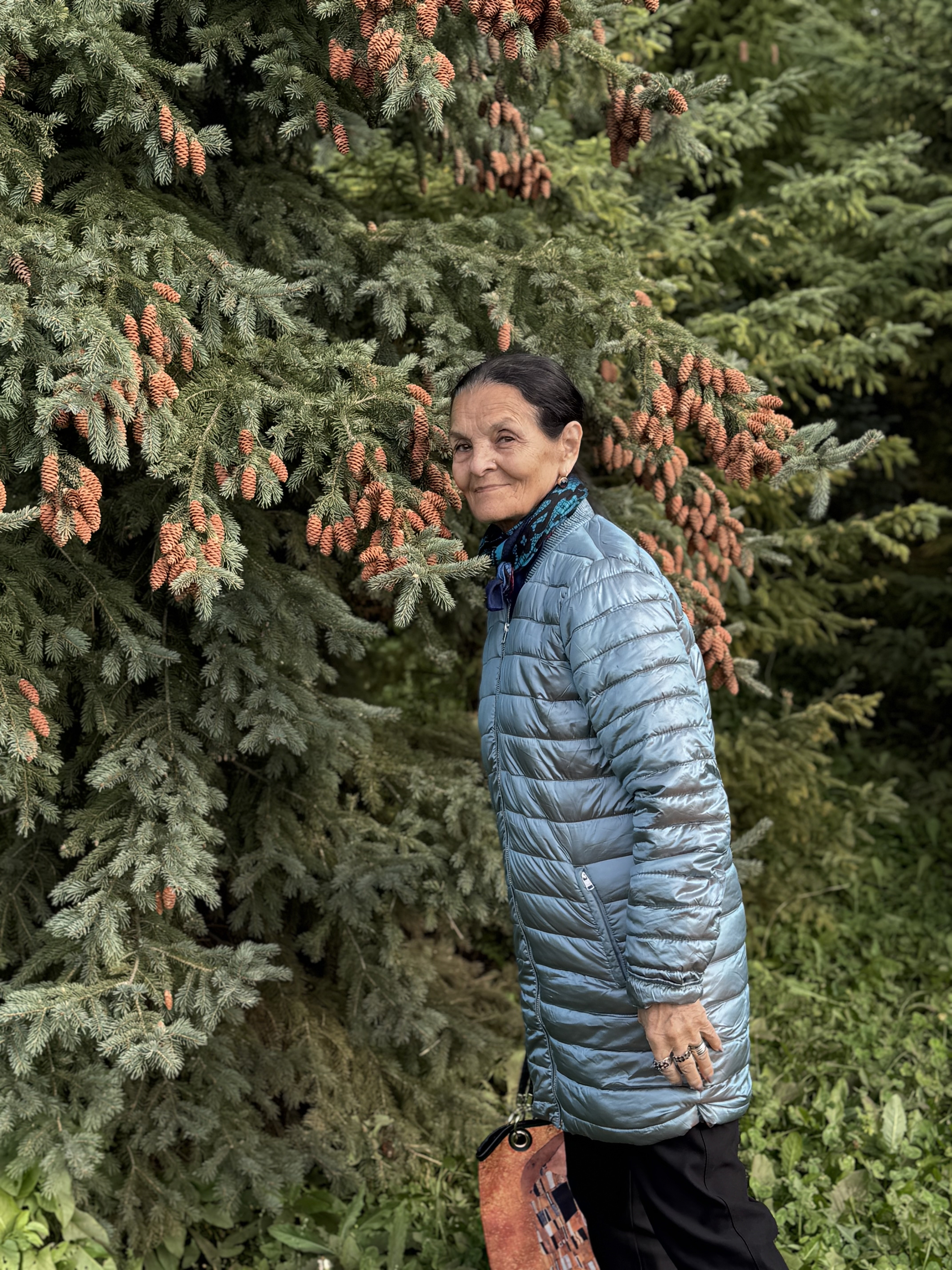 Представители Совета ветеранов КФУ посетили жемчужину Татарстана - Камское Устье Представители Совета ветеранов КФУ посетили жемчужину Татарстана - Камское Устье