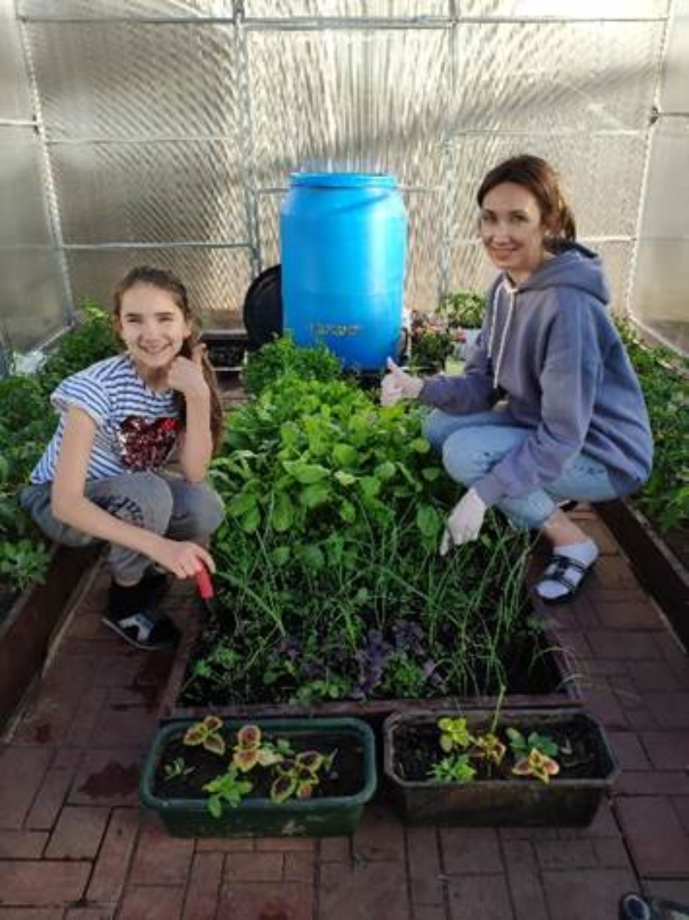 ������� �������: '��� �������  ����� - ��� ��� �����'