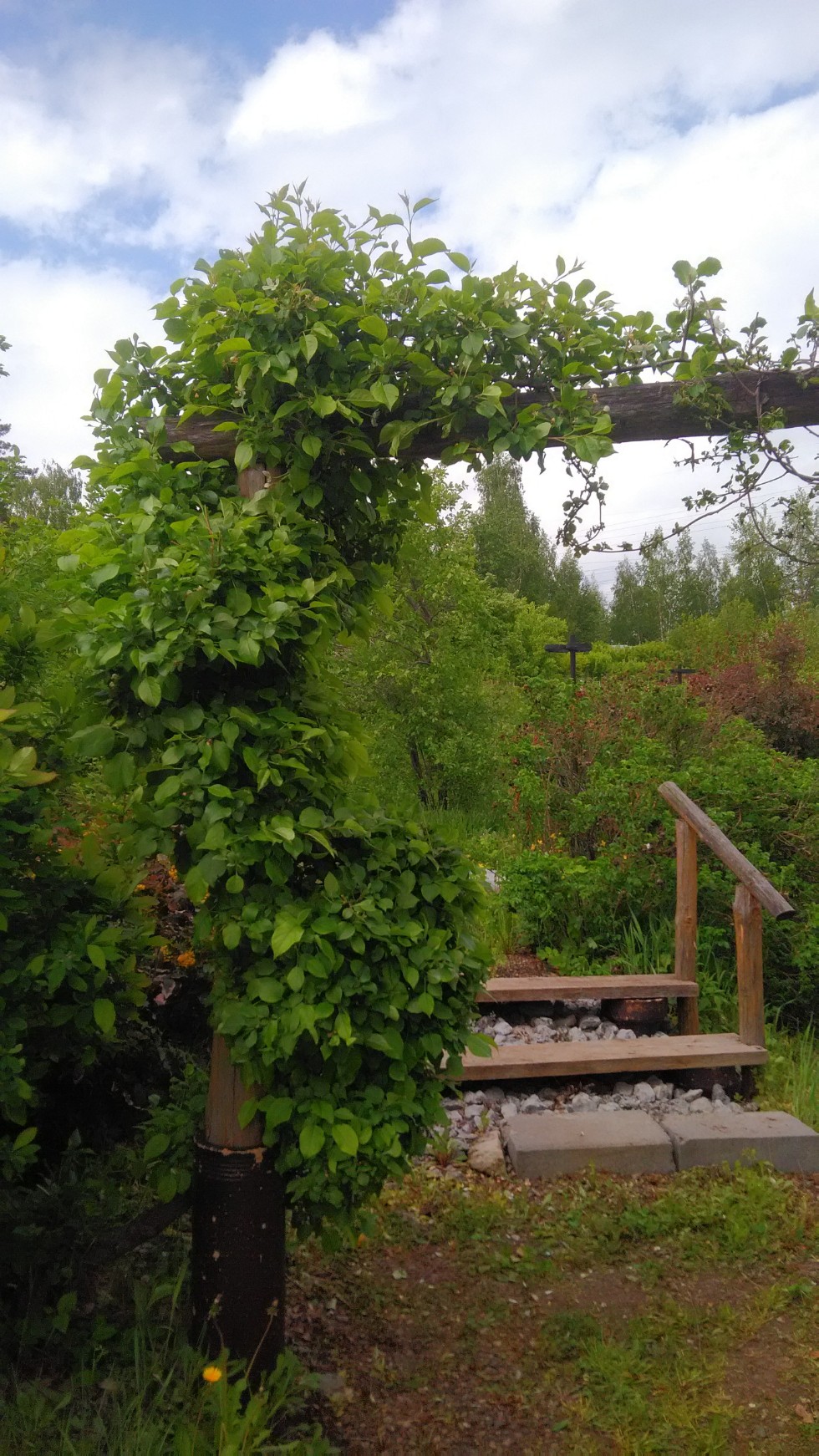 ���������� ��������