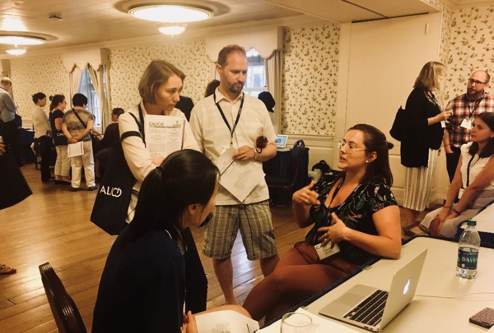 �� ����������� � ��� ������������ ������������ �� ��������������� ������-����������� �������� ������� ���� �����