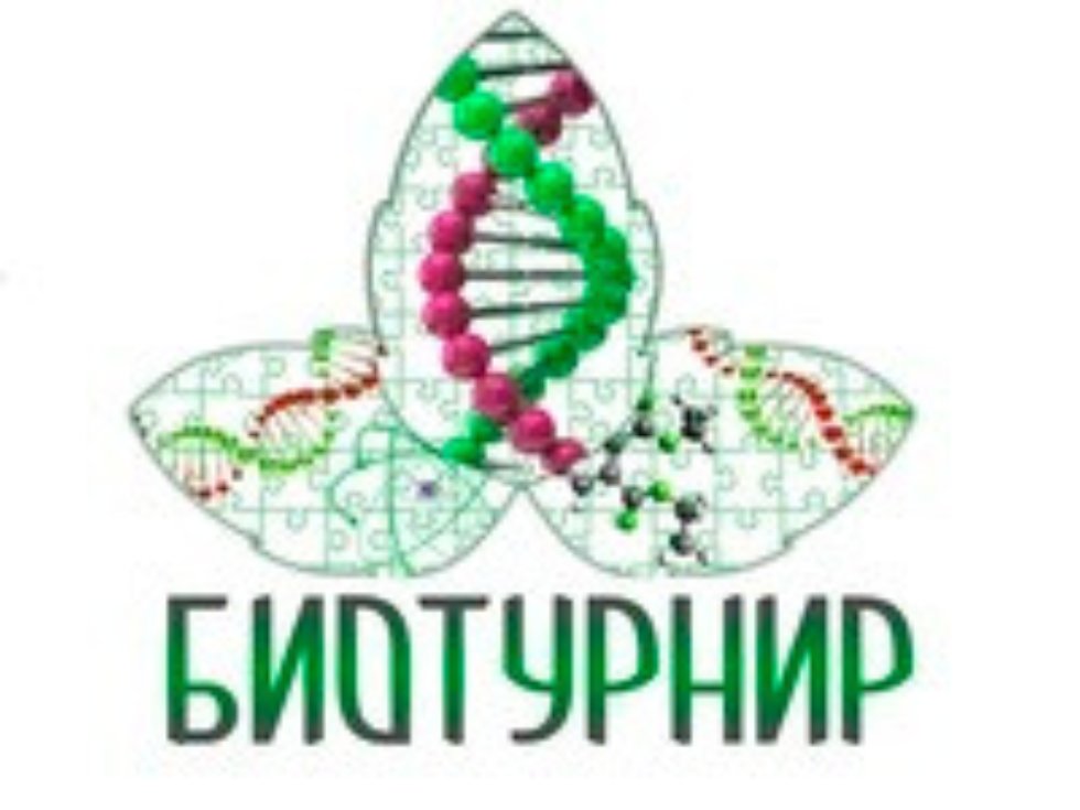 ������ �������� ���� � �����