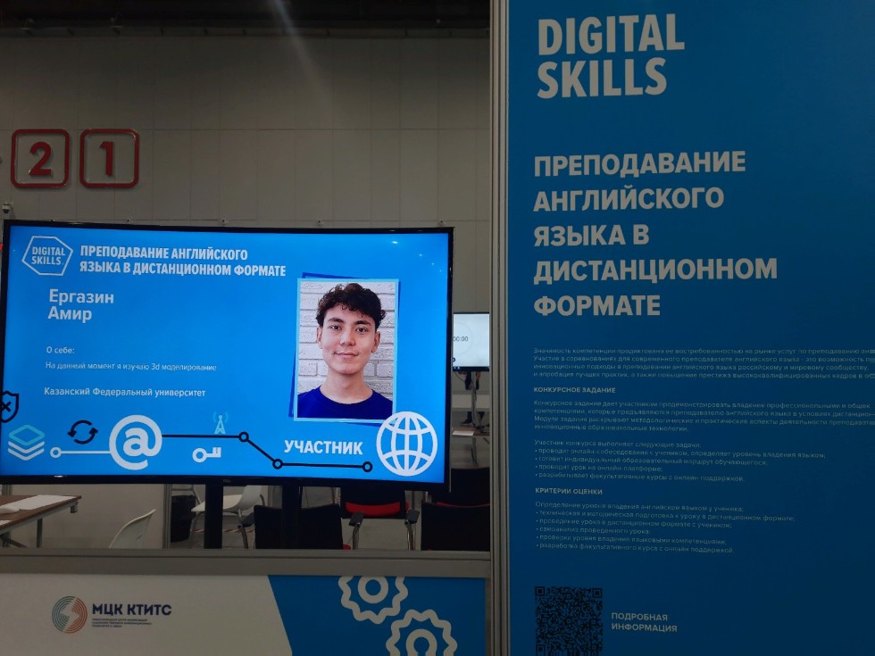 IV       DigitalSkills