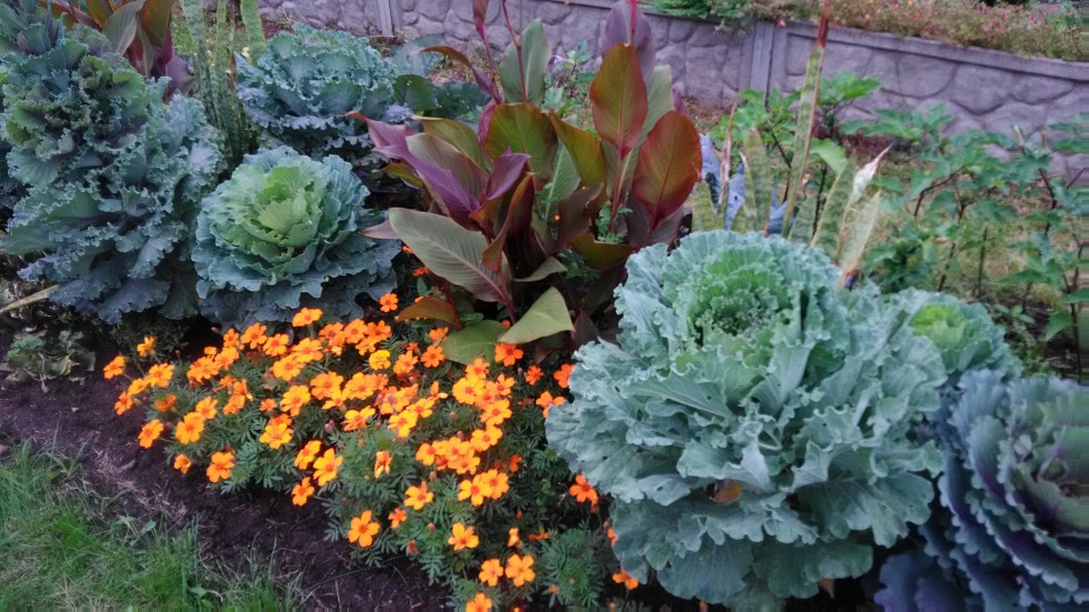 ���������� ��������