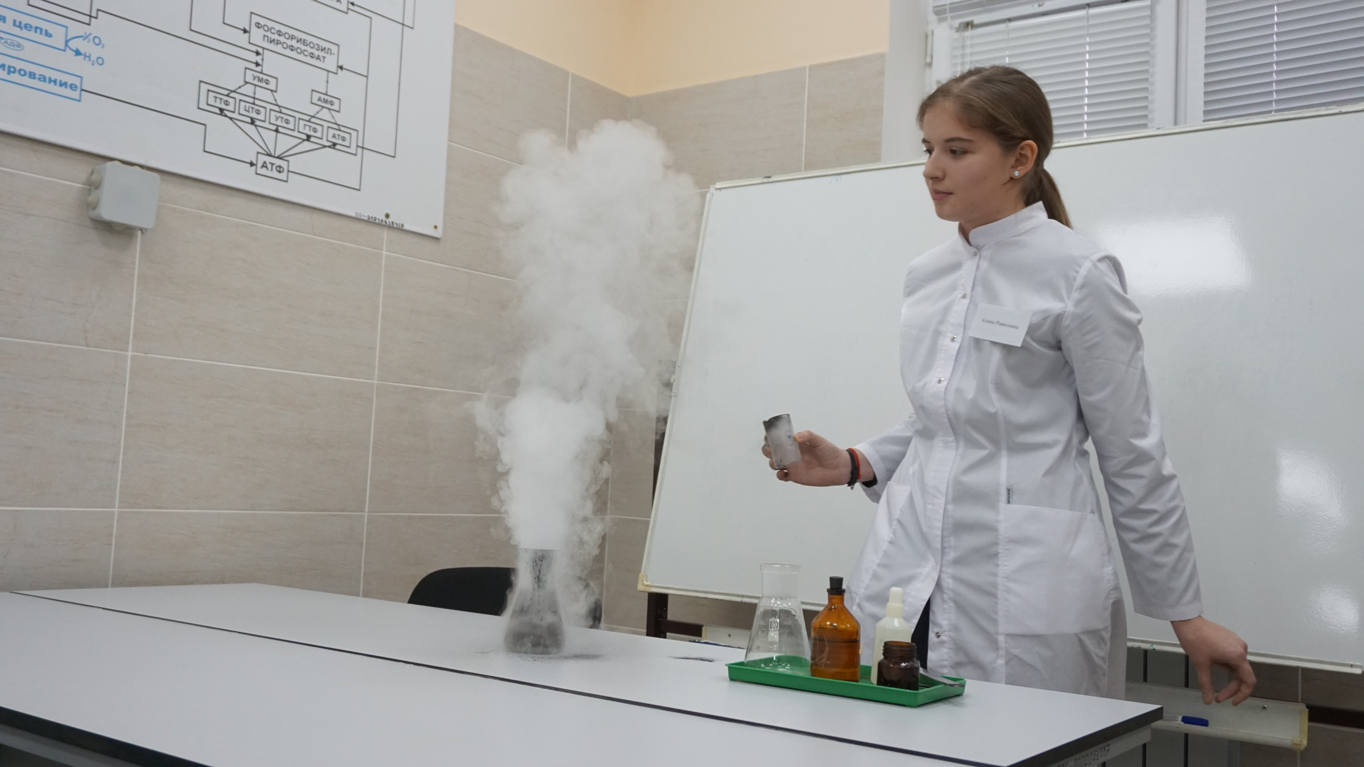 ���������� ������������ XXIX ��������� �����