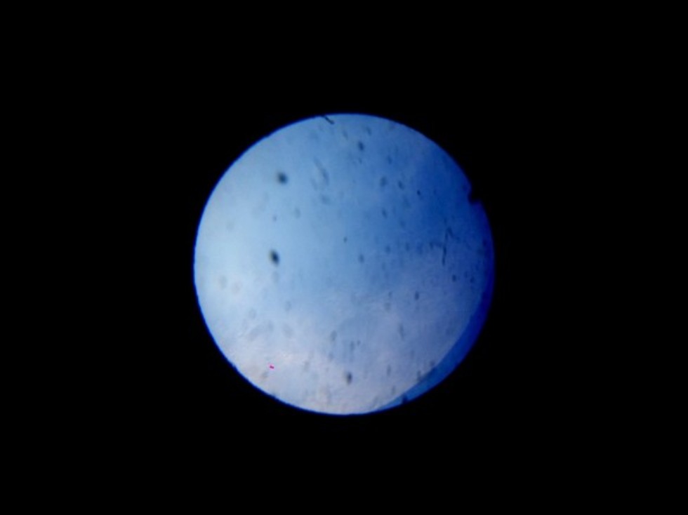 СТРУКТУРА И ПЕРСПЕКТИВЫ РАЗВИТИЯ АСТРОНОМИЧЕСКОЙ ОБСЕРВАТОРИИ им. В.П.ЭНГЕЛЬГАРДТА. СТРУКТУРА И ПЕРСПЕКТИВЫ РАЗВИТИЯ АСТРОНОМИЧЕСКОЙ ОБСЕРВАТОРИИ им. В.П.ЭНГЕЛЬГАРДТА.