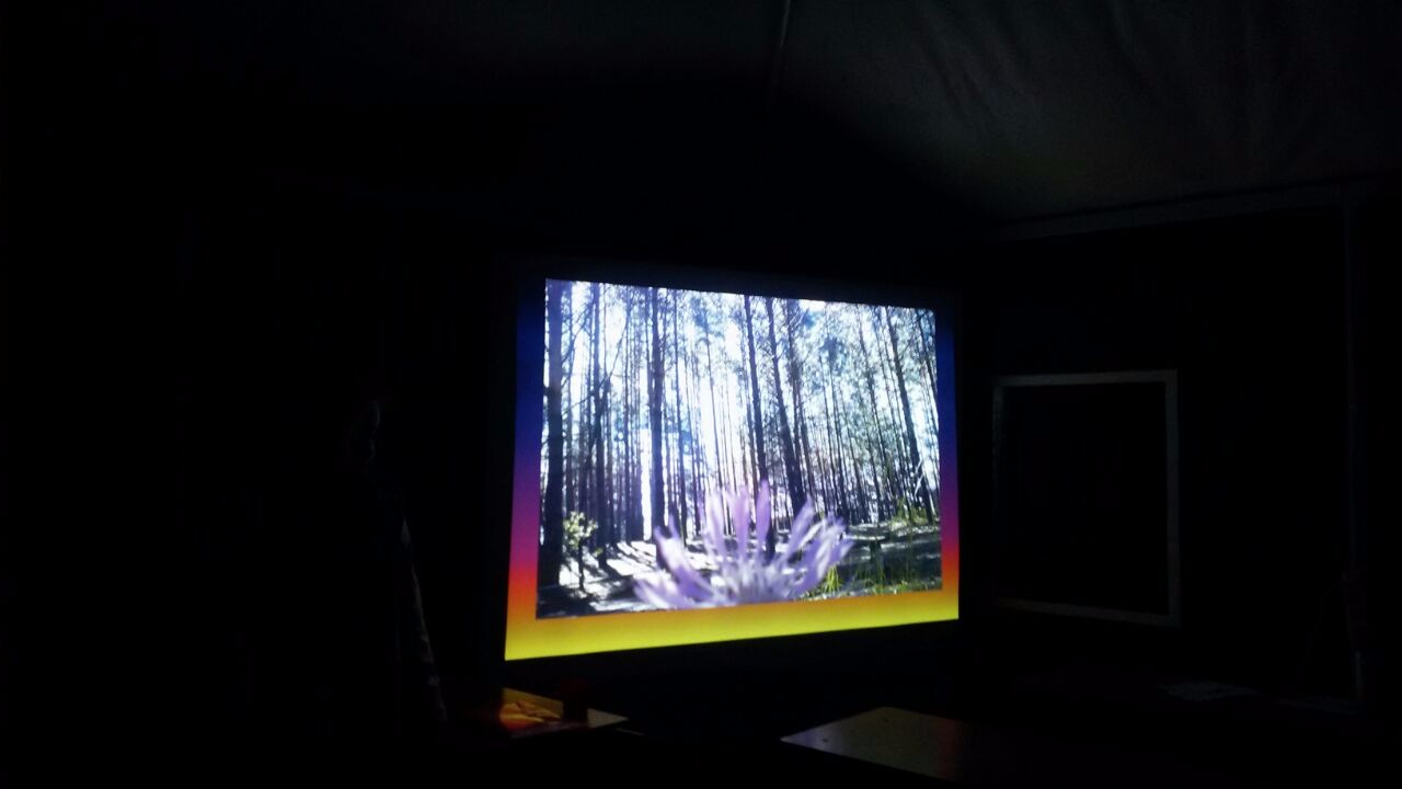 Лагерь 'Буревестник' продолжает работу Лагерь 'Буревестник' продолжает работу