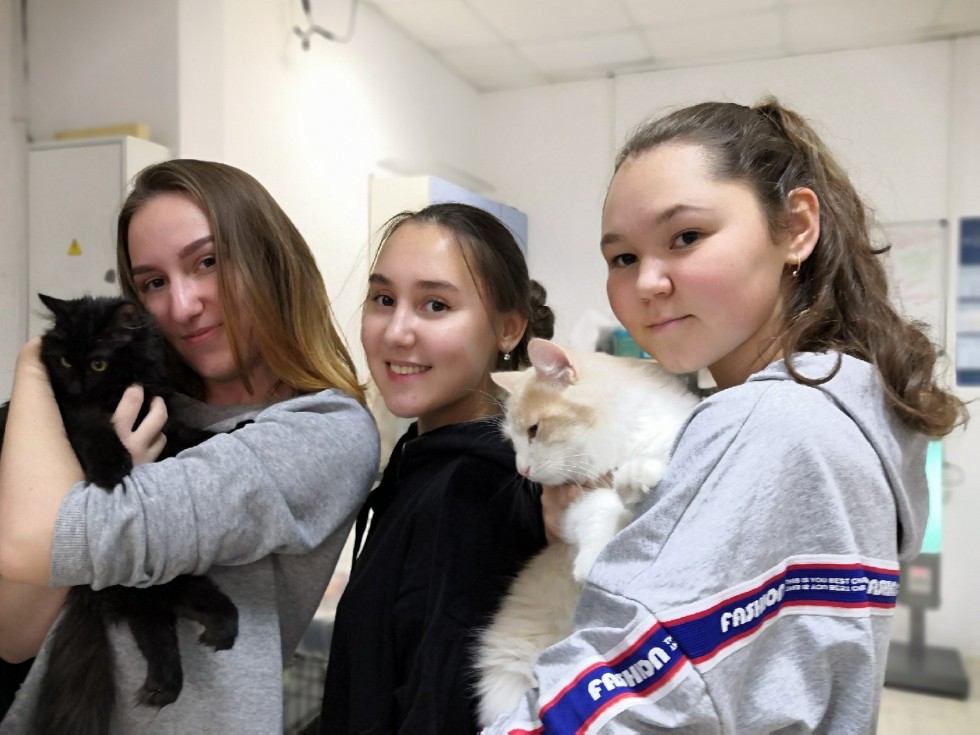 Насыщенные будни волонтеров Насыщенные будни волонтеров