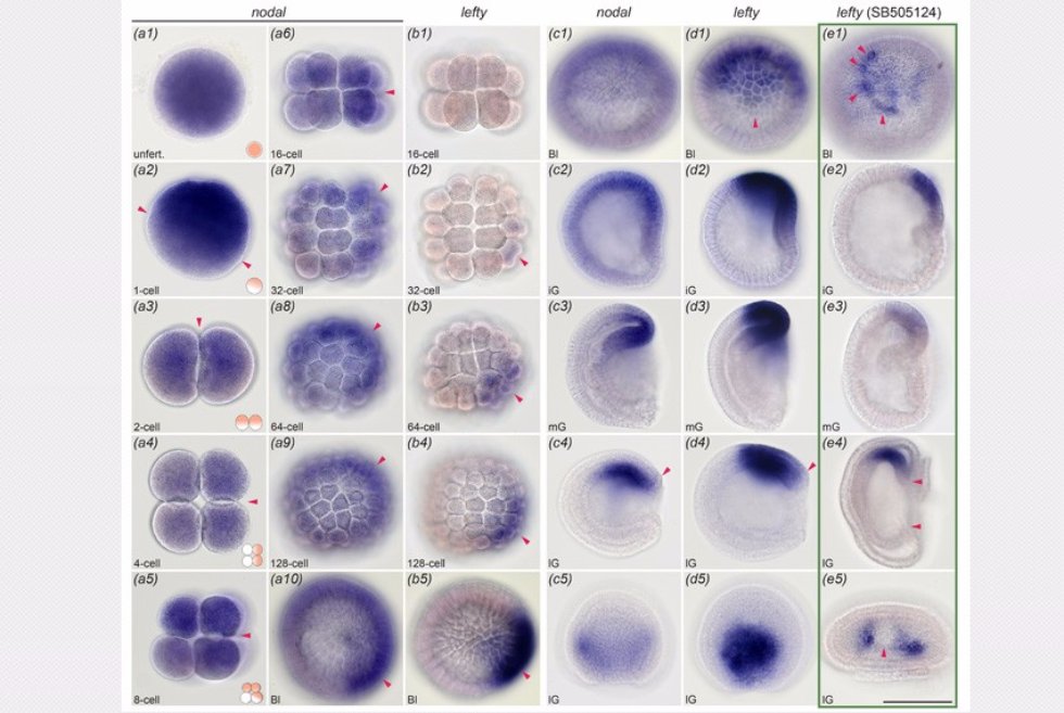 � ����������� ������������ (������) �������� ����������� PhD ���������� ������� �������� � ����� �������� ������� �������. ,����������� �����������, ������ �����������