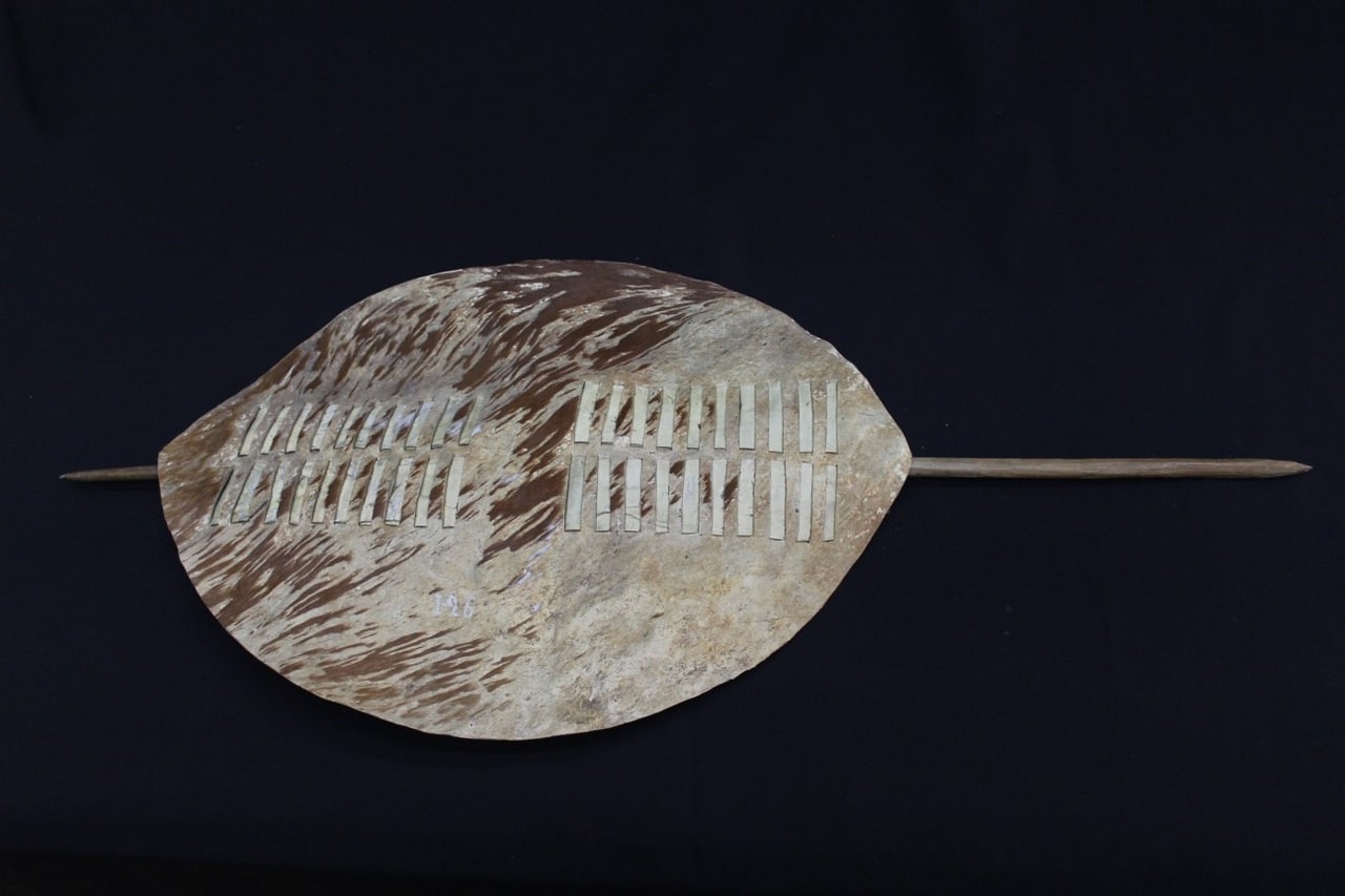 Щит зулусов Щит зулусов