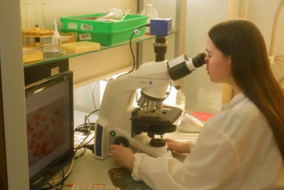 ������ ���