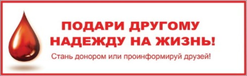 Social Committee of the Law Faculty Social Committee of the Law Faculty