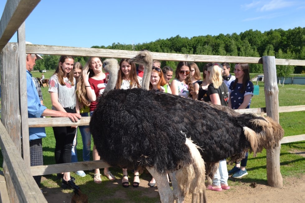 ������� � ������� ����� ������