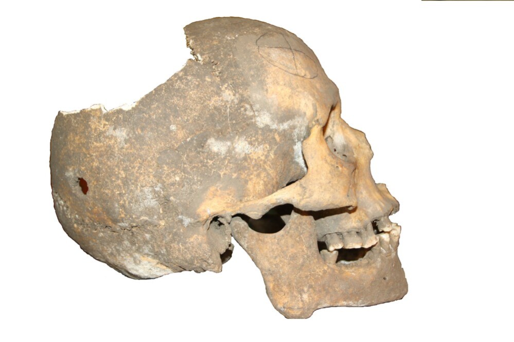 Облик средневекового населения Поволжья восстановлен по исследованию Елабужского института КФУ Облик средневекового населения Поволжья восстановлен по исследованию Елабужского института КФУ