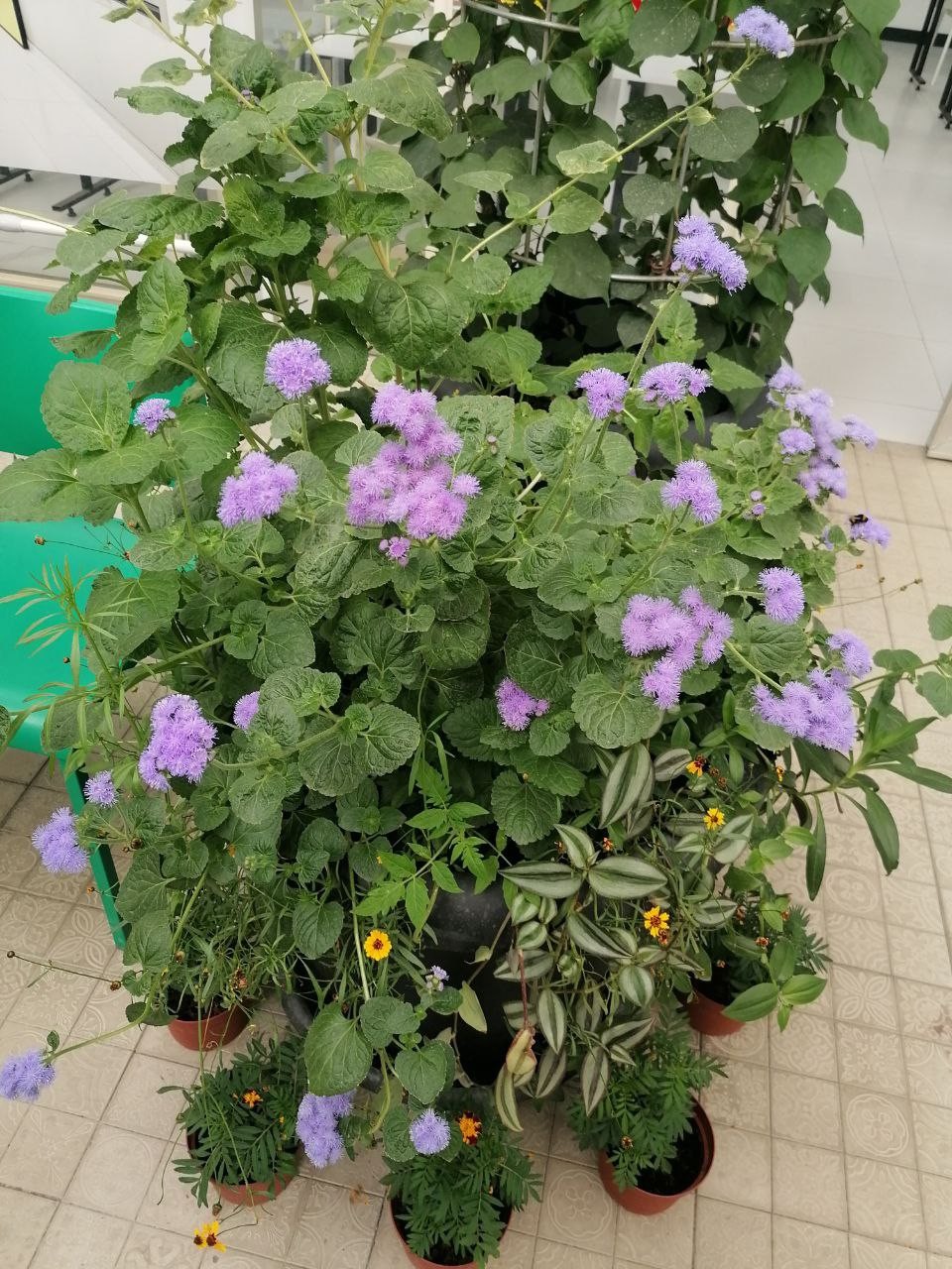 Доцент кафедры географии и картографии Алмаз Мансурович Сабирзянов с рабочим визитом в Бухарском государтсвенном университете Доцент кафедры географии и картографии Алмаз Мансурович Сабирзянов с рабочим визитом в Бухарском государтсвенном университете