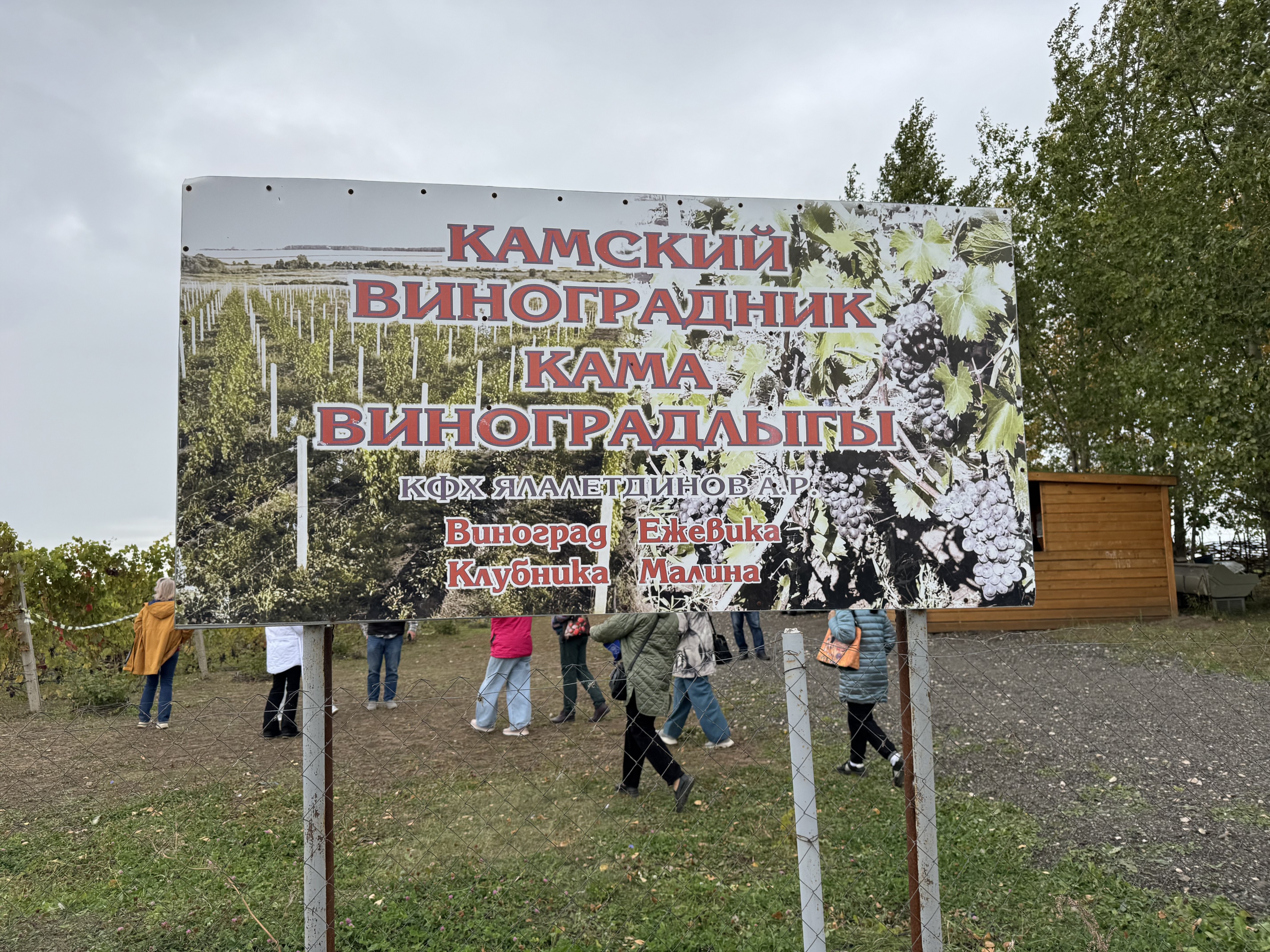 Представители Совета ветеранов КФУ посетили жемчужину Татарстана - Камское Устье Представители Совета ветеранов КФУ посетили жемчужину Татарстана - Камское Устье